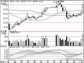 下周機(jī)構(gòu)關(guān)注焦點 軟件開發(fā)行業(yè)趨勢與投資機(jī)會