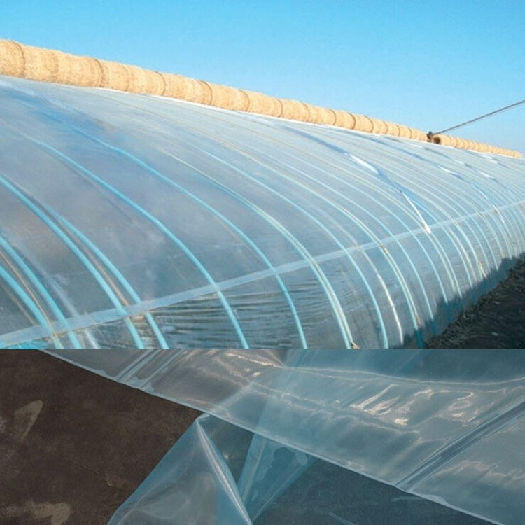 批發(fā)大棚塑料薄膜與地膜 選擇與使用指南