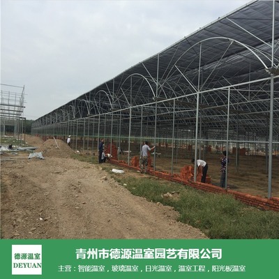 薄膜連棟溫室 花卉與蔬菜種植的經(jīng)濟(jì)選擇與造價(jià)解析