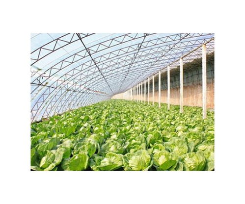 吳縣生態(tài)玻璃大棚廠家及大棚薄膜選購(gòu)指南
